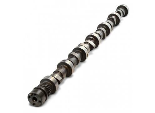 product image for Custom Camshaft