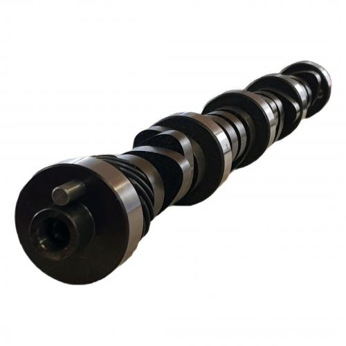 image of Custom Hydraulic Lifter Flat Tappet Camshaft