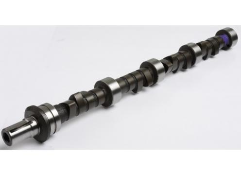 product image for Custom Hydraulic Lifter Camshaft